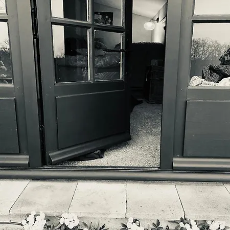 Gite Droles D'oiseaux